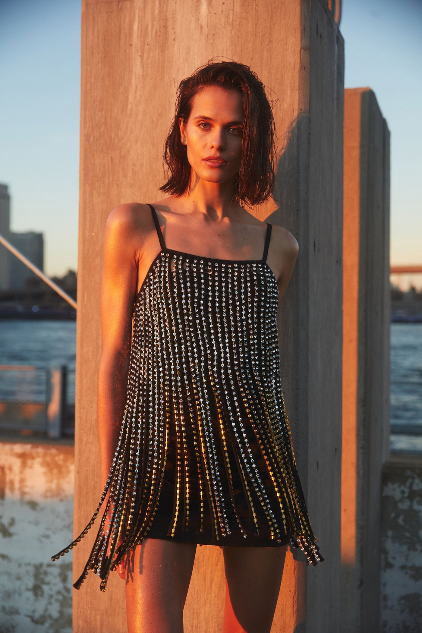 Swarovski Crystal Fringe Dress