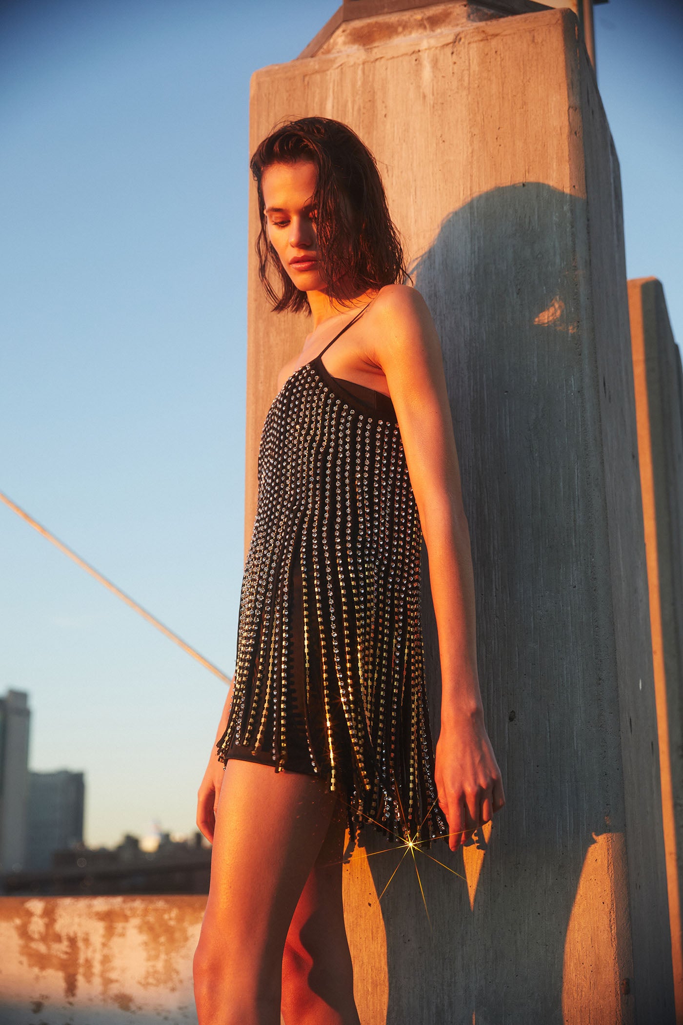 Swarovski Crystal Fringe Dress